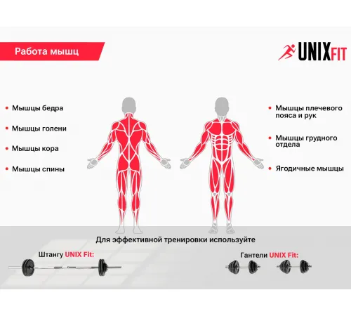 Скамья силовая со стойками UNIX Fit BENCH 120